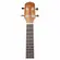 UKULELE GIANNINI GUK 23 CONCERT SAPELE C/BAG WS - WALNUT SATIN