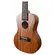 UKULELE GIANNINI GUK 23 CONCERT SAPELE C/BAG WS - WALNUT SATIN