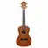 UKULELE GIANNINI GUK 23 CONCERT SAPELE C/BAG WS - WALNUT SATIN