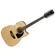 VIOLAO 12 CORDAS IBANEZ PF 1512 ECE ELETRO-ACUSTICO NT- NATURAL