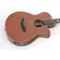 VIOLAO STRINBERG SF200C FLAT ACO MGS - MAHOGANY SATIN